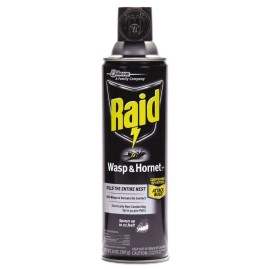 Raid 668006 14 oz. Wasp & Hornet Killer Spray (12/CT) New