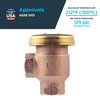 Cash Acme 1/2 Inch V-101 Anti-Siphon Vacuum Breaker, Brass Plumbing