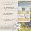 AniForte Natural Moor Mud for dogs & cats 750g -