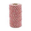 Dulton Twisted String White/Red 100m WHITE-RED GS55-266A