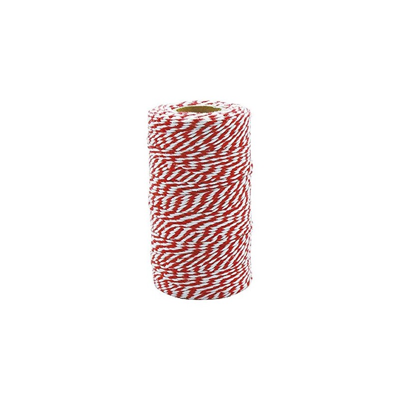 Dulton Twisted String White/Red 100m WHITE-RED GS55-266A