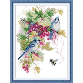 CROSSDECOR Stamped Cross Stitch Kits-Blue Jays and Grapes Embroidery Patterns Full Set for Beginners or Adults,11 CT 3 Strands DIY Crossstitching Arts Craft,for Gift and Home Decor 16×21.6 inch