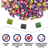 Dubble Bubble Assorted Fruit Flavor Gum - 1 Pound Bulk