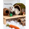 HEUHAI 10-Pack Ferret Bell Ball Toys, Non-Toxic PP, Hollow Chew