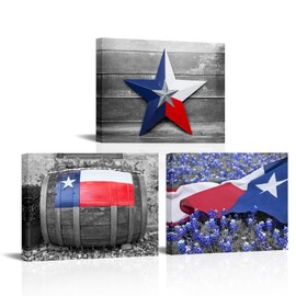RnnJoile Texas Canvas Art Texas Flag Bluebonnet Texas Star Pictures Prints Black and White Texas Wall Art Decor Framed 12"x16" Each Piece