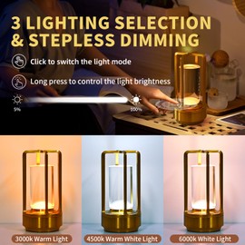 Portable Metal Table Lamp for Indoor/Outdoor, Cordless Table Lamp Lantern, Rechargeable Battery Powered, 3 Color Stepless Dimming Touch, for Restaurant/Bedroom/Bar/Coffee Shop/Camping Light (Silver)
