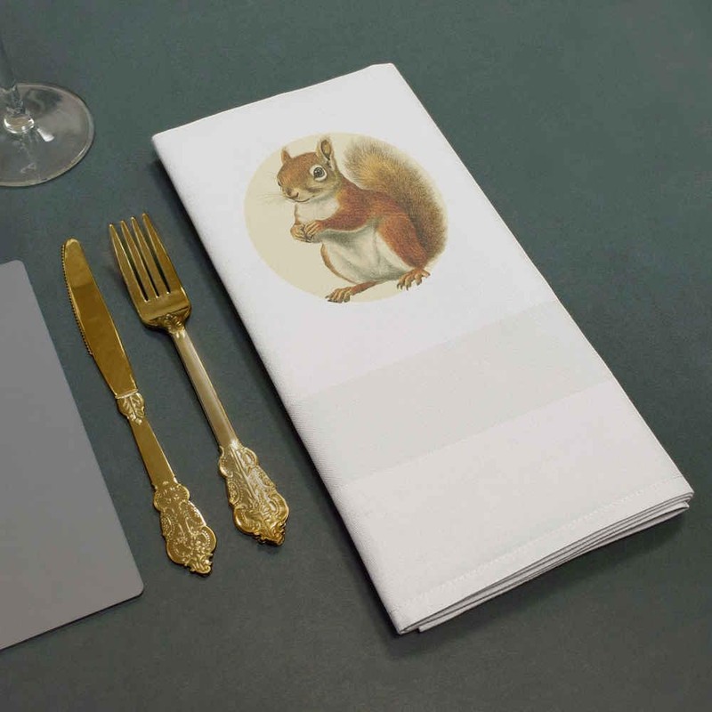 'Red Squirrel Side View' Cotton Napkin/Dinner Cloth (NK00039194)