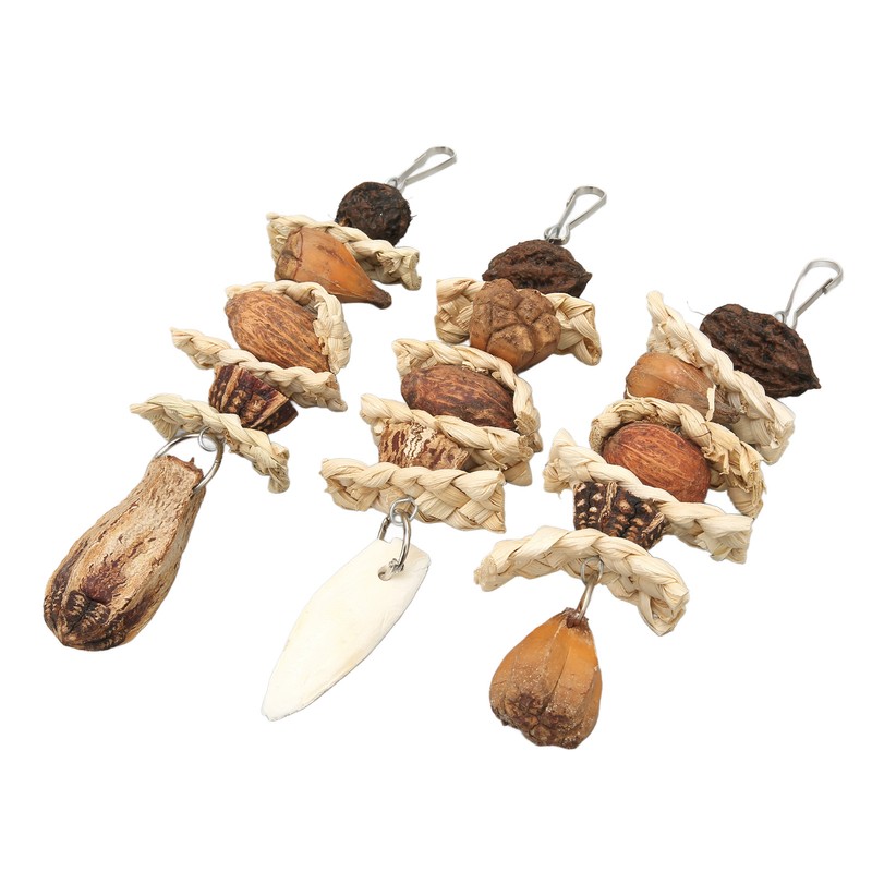 Parakeet Beak Stone Parrots Trimming Chew Toys Set Bird Nuts