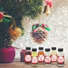 Christmas Gift -Essential Oils Holiday Set Pack of 6 in