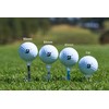 Bridgestone Golf Magnet Tee 3.5 inches (90 mm) GAGMGTL 2023