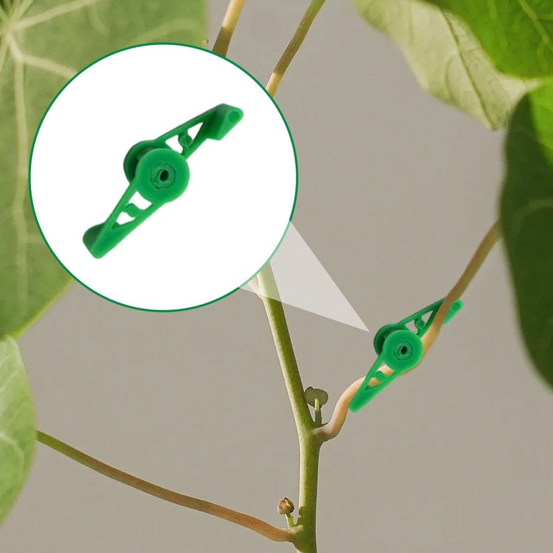 EOWVISN 40Pcs Plant Stem Training Clips And 10Pcs Vine Retaining