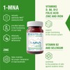 Endotelio 1-MNA Vegan Complex, Anti Aging Optimierendes NAD+, Vitamine und