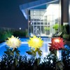 2 Pack Outdoor Solar Lights Outdoor Waterproof Chrysanthemum Flowers Stake