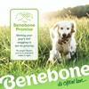 Benebone Fishbone Durable Dog Chew Toy for Aggressive Chewers, Real