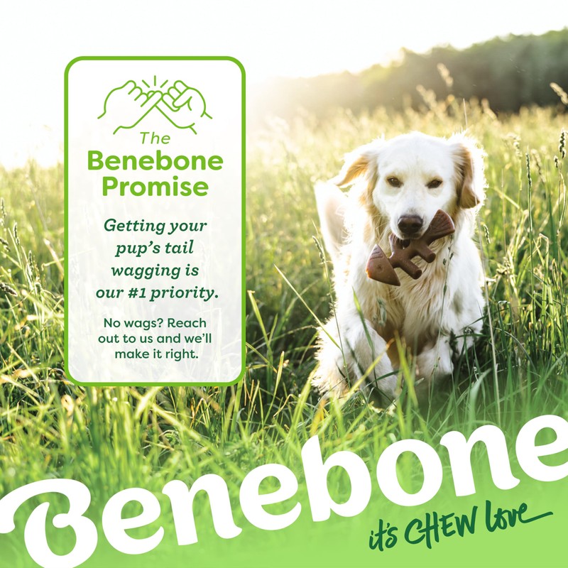 Benebone Fishbone Durable Dog Chew Toy for Aggressive Chewers, Real