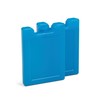 Igloo Maxcold Small Ice Block, 2-Pack, Blue