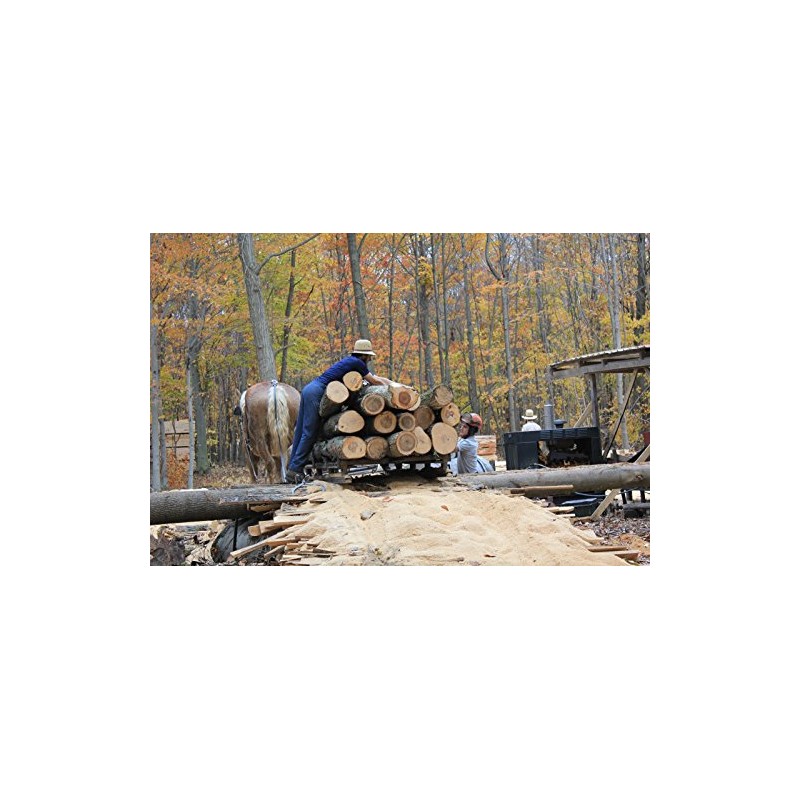 2 Thin Butternut Wood Boards @ 1/4 x 5 x