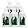 Cheongmijeong Kelp Natural Treatment 500mlX5 Box / 청미정 다시마 천연