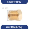 LTWFITTING Hex Plug Male Screw Size R (PT) 1/4 (Pack