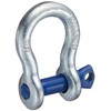Forged Shackle
