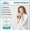VIMMANCE Moringa Dried Leaves Tea Bags, 50 counts, Hojas de