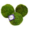 SuperMoss (25542 Moss Balls, Fresh Green, 6" (3 Pack)
