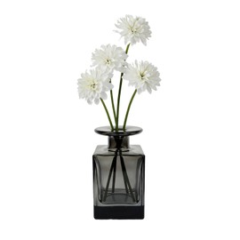 150ML/5OZ Square Grey Glass Diffuser Bottles Empty Refillable Vintage Diffuser Jars Decorative Aromatherapy Containers for Home Office(Excluding Aromatherapy Sticks)