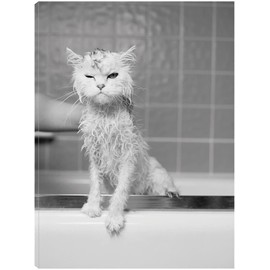 Fine Art Canvas Bert’s Bath Canvas Wall Decor by Artist James Flad for Living Room, Bedroom, Bathroom, Kitchen, Office, Bar, Dining & Guest Room - Ready to Hang - 24 in x 32 in