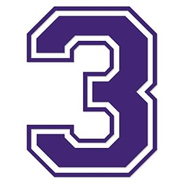Applicable Pun Varsity Number 3 - Vinyl Decal - Purple 8 Inches Tall