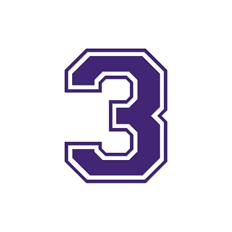 Applicable Pun Varsity Number 3 - Vinyl Decal - Purple