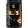 HOSSTILE SILO[9] EAA + Hydration Powder – Essential Amino Acids with Electrolytes EAA BCAA Intra, 1개, 458g / HOSSTILE SILO[9] EAA + Hydration Powder – Essential Amino Acids with Electrolytes EAA BCAA Intra, 1개, 458g
