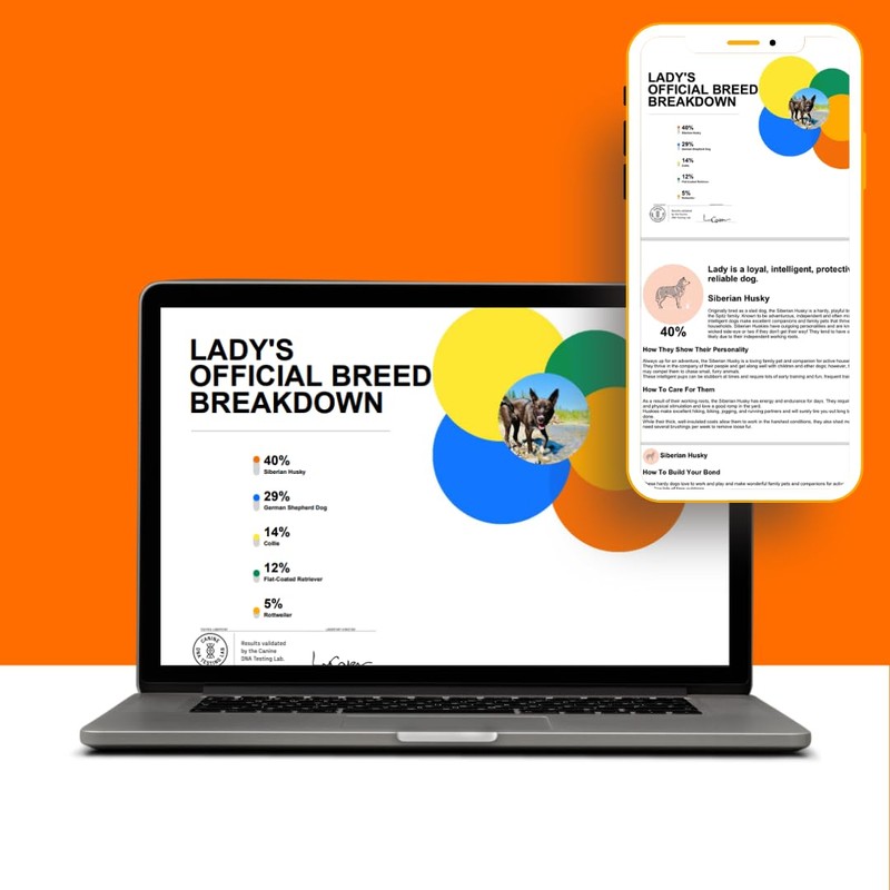 DNA MY DOG - Premium Test – Trusted & Affordable