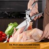Heavy-Duty Kitchen Shears, Stainless Steel, Serrated Edge, Multi-Purpose Poultry and