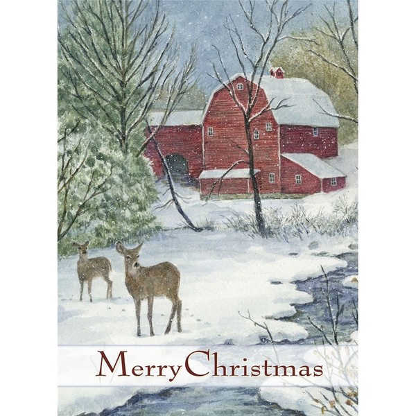 Legacy Publishing Group Deluxe Boxed Holiday Greeting Cards, Prince Of Peace (HBX23099)