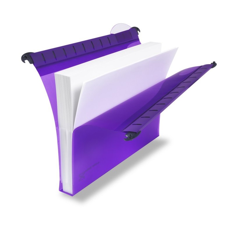 Rexel Heavy Duty Suspension Files with Tabs and Inserts for