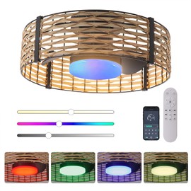 Ganeed 18W LED 20 Inch Dimmable Bamboo Rattan Fandelier, Boho Caged Ceiling Fan with Light and Remote, 6 Speed/Reversible Motor/RGB LED Small Ceiling Fan for Bedroom Living Room Kitchen Nursery