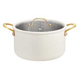 BEZIA 10 Quart Stainless Steel Stock Pot, Large Soup Pot, Casserole with Lid, Stockpot with Visible Lid, Silicone Edging, Sturdy & Double Handle, Induction Cooking Pot for Pasta, Soup, Spaghetti