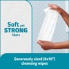 Medline ReadyFlush Select Dispersible Cleansing Cloths, Fragrance-Free, 1 Pack -