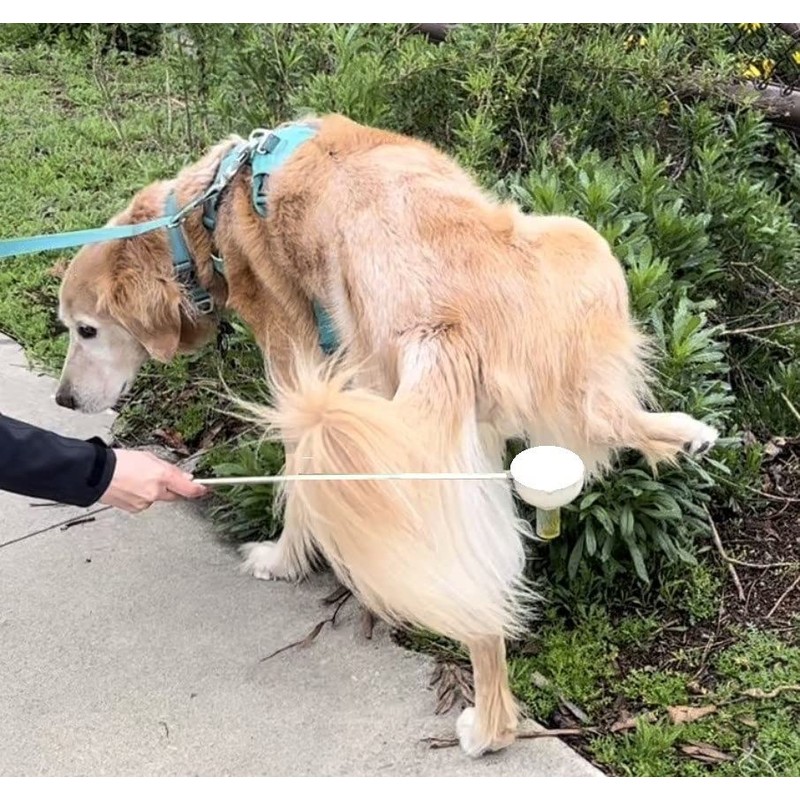 P-Scoop Telescopic Urine Collector for Medium/Large Male Dogs - with