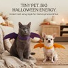 Pet Costume Accessories for Cats & Dogs – Fun Bat