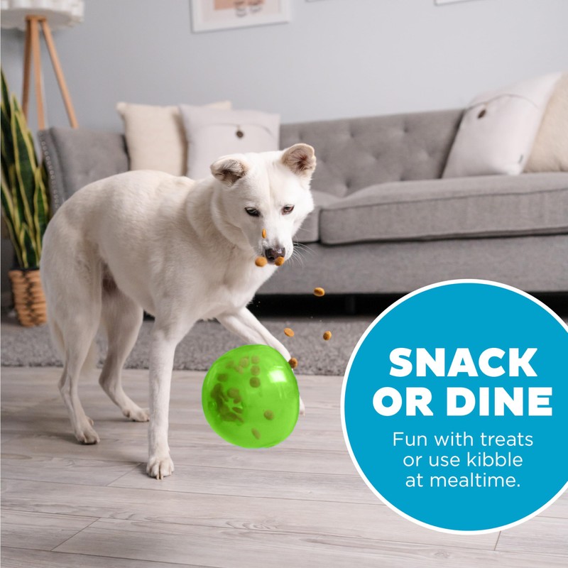 Outward Hound Large Snoop Interactive Treat Dispensing Dog Toy, Puzzle