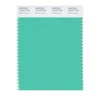 PANTONE Smart 14-5721X Color Swatch Card, Electric Green