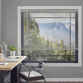 CHICOLOGY Cordless Vinyl Mini Blind, 46W x 48H, Gray (Commercial Grade), Gloss Finish, Indoor, Window & Door, Warp Resistant, Best for Kids