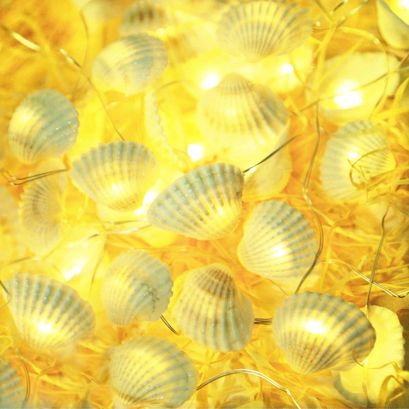 Cynzia Natural Seashells String Lights, 40LED Beach Decoration USB Plug
