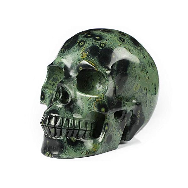 Skullis 5.0" Kambaba Jasper Crystal Skull, Hand Carved Gemstone Fine Art Sculpture, Reiki Healing Stone Statue.1278