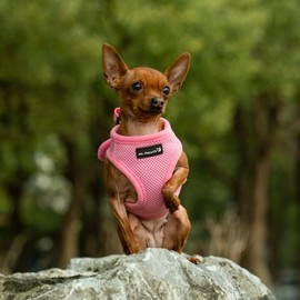 Mr. Peanut's PupTrek Small Dog/Cat Soft Mesh Step in Harness Vest (Medium, Pink)