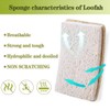 Loofah Dish Sponges Kitchen,Organic Natural Sponges for Dishes,Non Scratch Eco