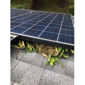 6" Squirrel Guard Kit. 6 in. 100 ft. PVC Coated Galvanized Steel roll and 100 Aluminum Fasteners.