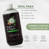 Shampoo De Órgano & Nogal Oscurecedor Natural Productos Mart Mexico