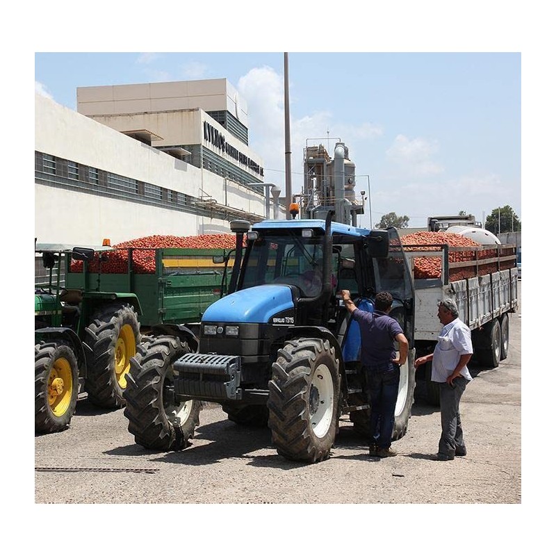 Tomato paste double concentrated 28% 70g (2.46oz). Pack of 6.